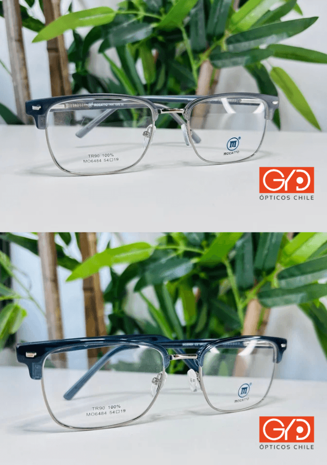 Lentes modelo 1