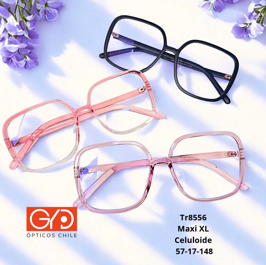 Lentes modelo 10