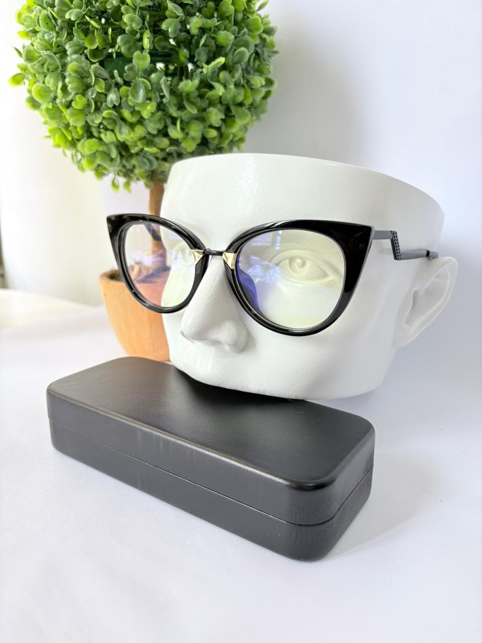 Lentes modelo 14
