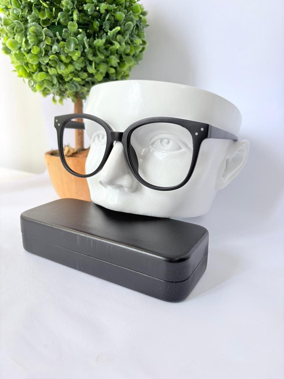 Lentes modelo 16