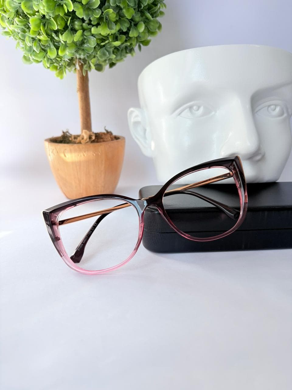 Lentes modelo 17