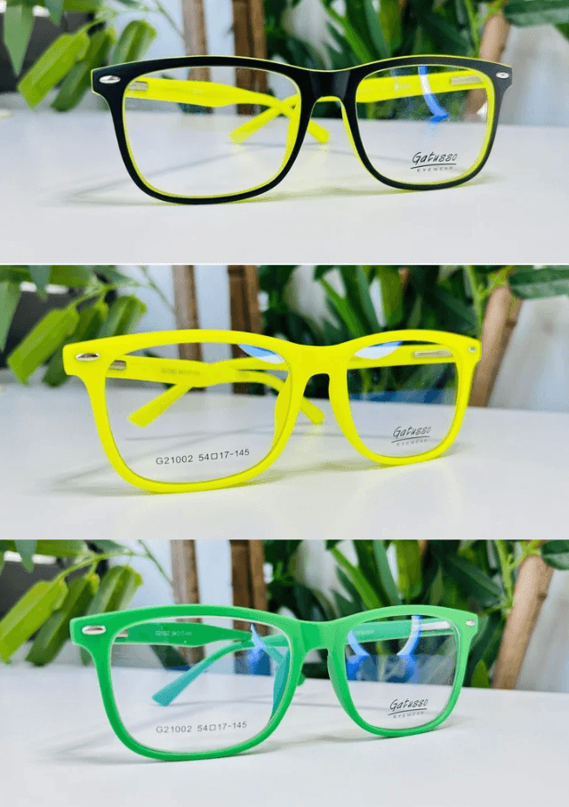 Lentes modelo 2