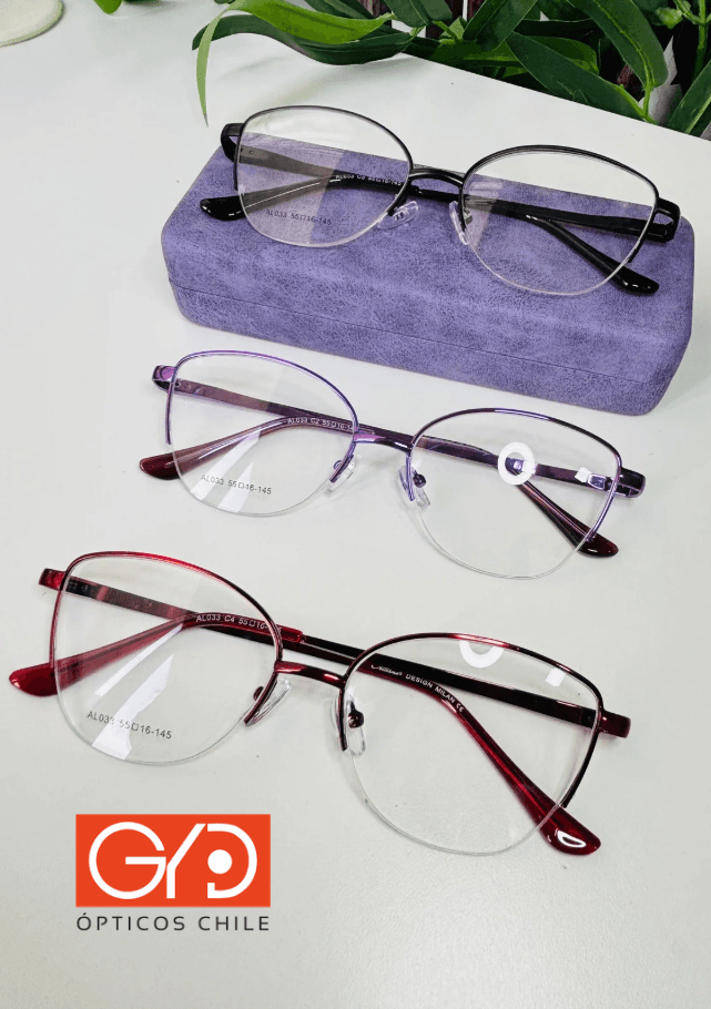 Lentes modelo 3